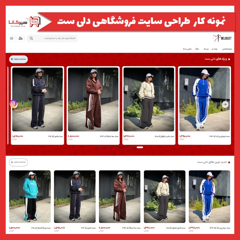 طراحی سایت فروشگاهی دلی ست
