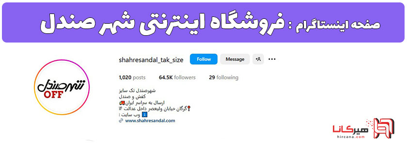 10 فروشگاه اینترنتی برتر گرگان 21