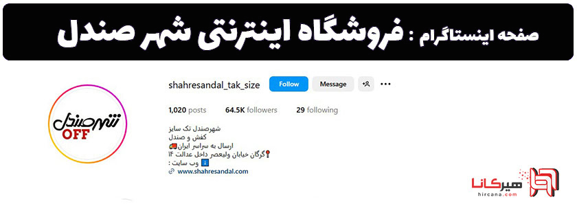 10 فروشگاه اینترنتی برتر گرگان 21